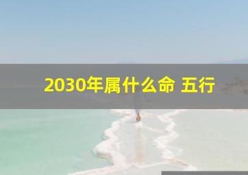 2030年属什么命 五行